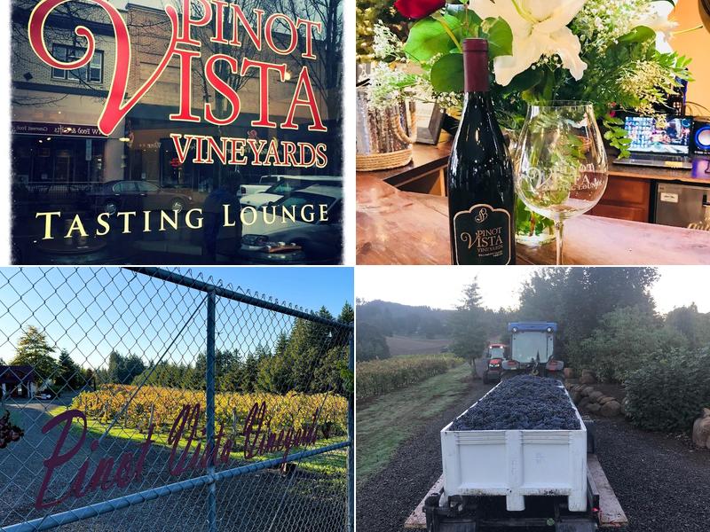 Pinot Vista Tasting Lounge