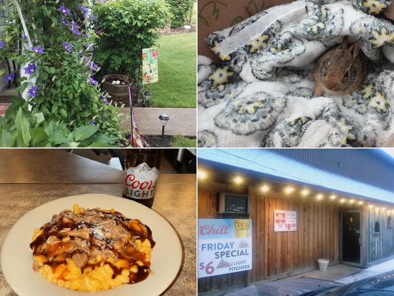 Clyde & Patti's Lounge 901 Freeport Rd, Cheswick