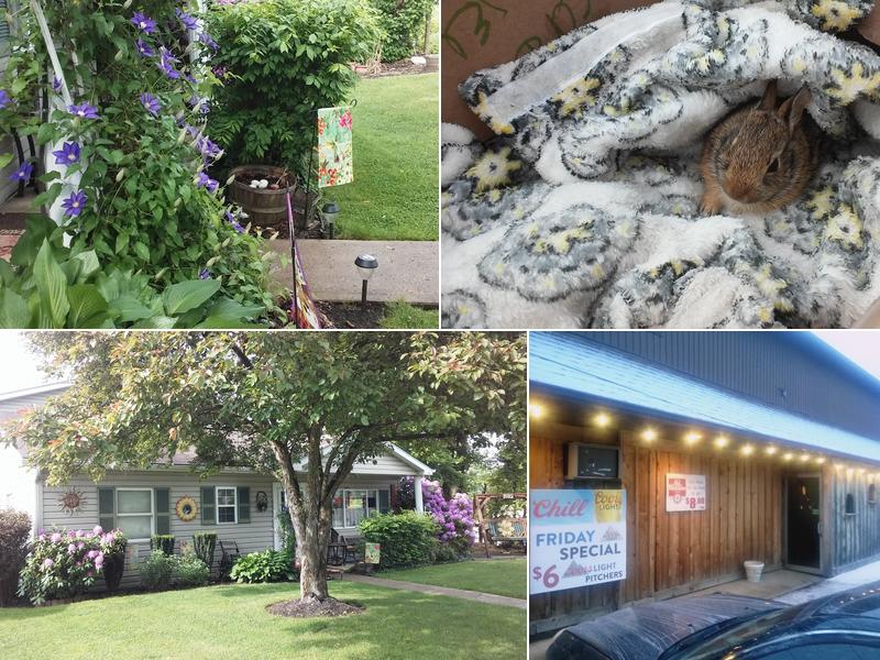 Clyde & Patti's Lounge