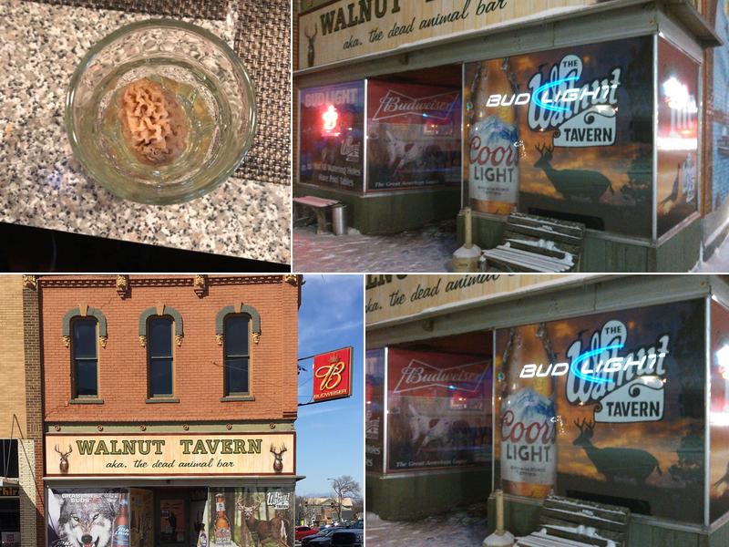 Walnut Tavern Inc 100 W 3rd St, Yankton