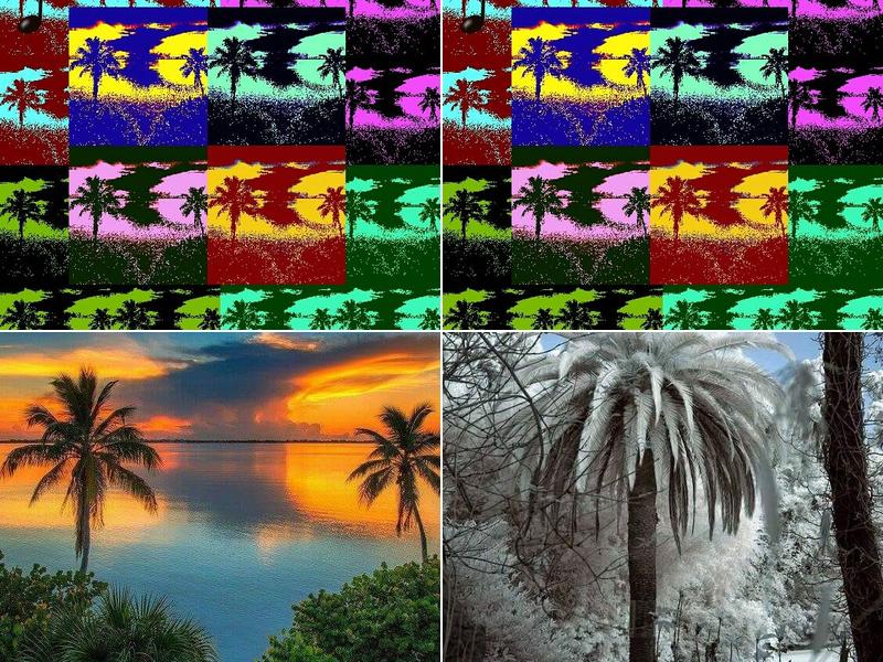 Castaways 1880 Hwy 69 south, 1880 State Hwy 69 S, Paris