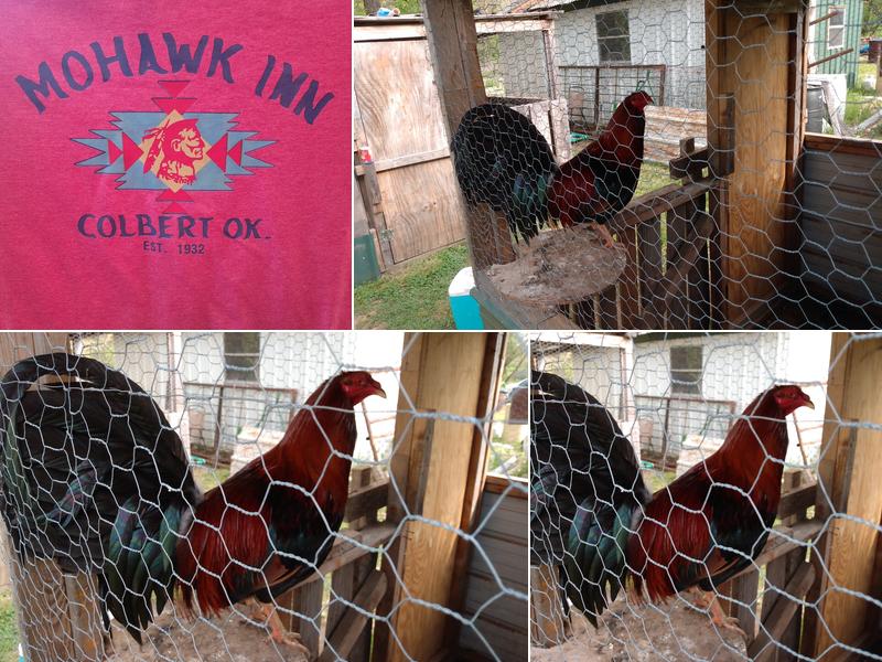 Mohawk 1746 Old River Rd, Colbert