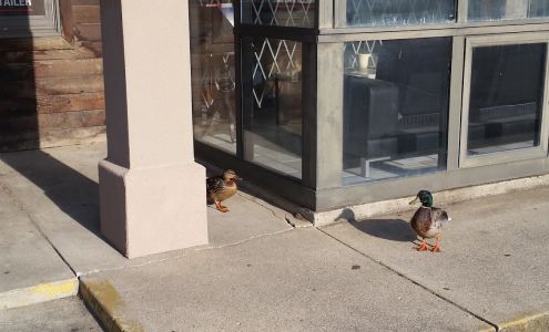 Smoker Friendly's Liquor Plus