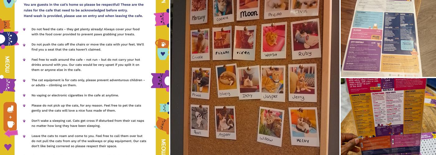 Kitty Cafe Menu