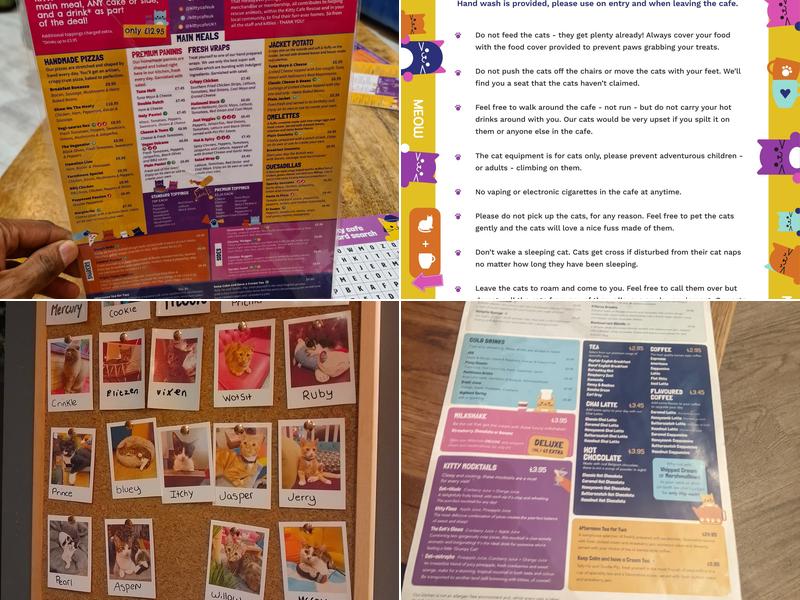 Kitty Cafe Menu
