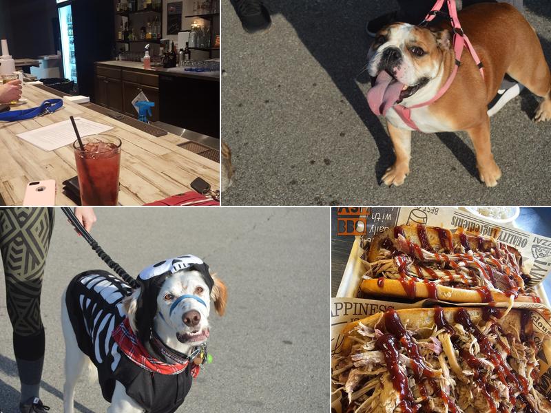 Bark & Brew 2514 Glendale Ave, Green Bay