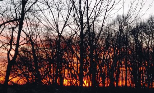 Ecco Vino LLC Mount Pleasant