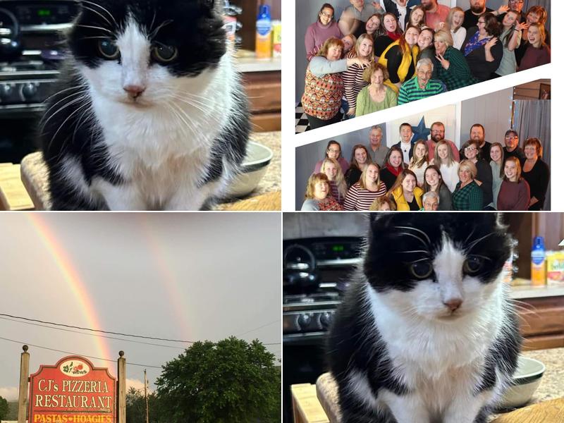 CJ's 210 Tricorn Rd, Danville