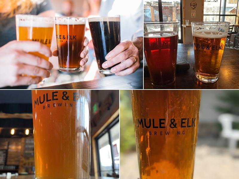 Mule & Elk Brewing 418 E 1st St Suite 5, Cle Elum