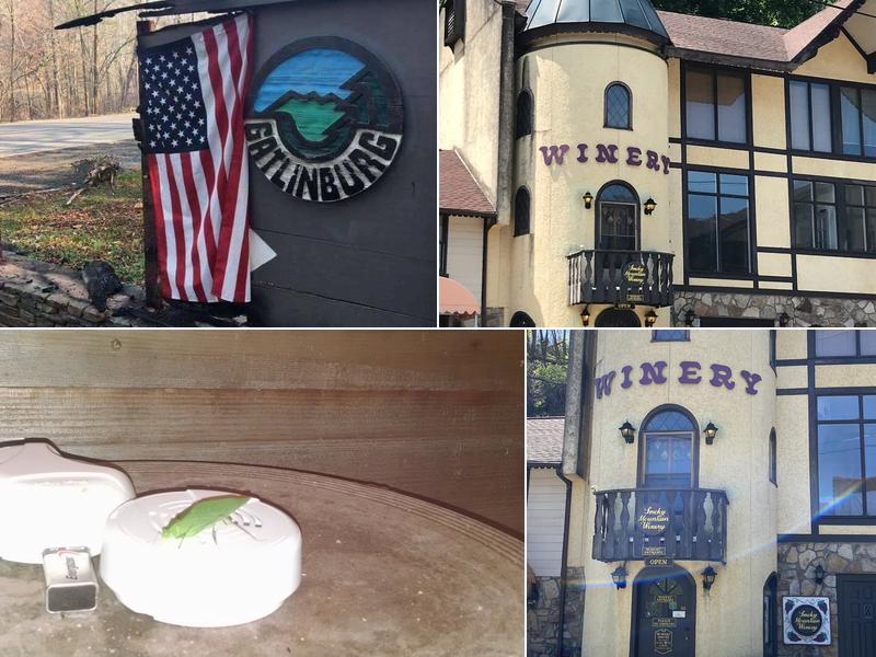 Smoky Mountain Winery