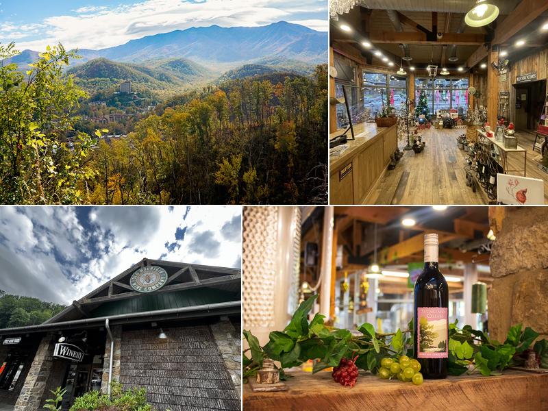 Old Mountain Wine Company