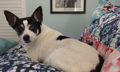 Cut Rate Package Shoppe Moncks Corner