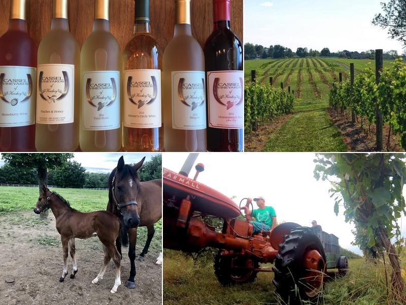 Cassel Vineyards of Hershey