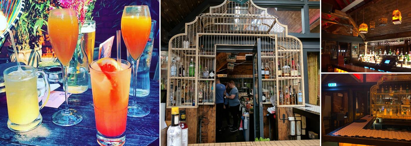 The Perch Rooftop Bar