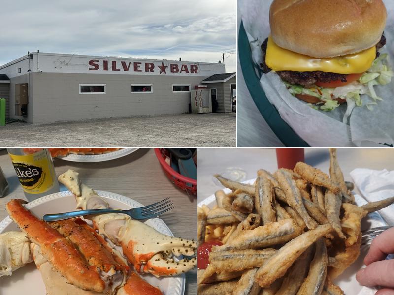 Silver star bar 10400 Sumpter Rd, Maybee