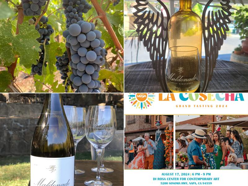 Maldonado Vineyards 901 Enterprise Way Suite D, Napa