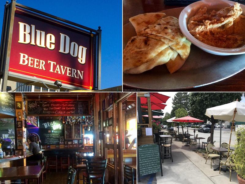 Blue Dog Beer Tavern