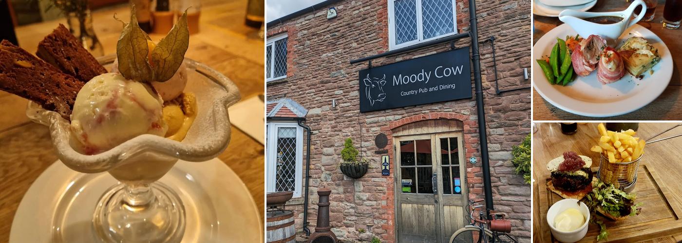 The Moody Cow