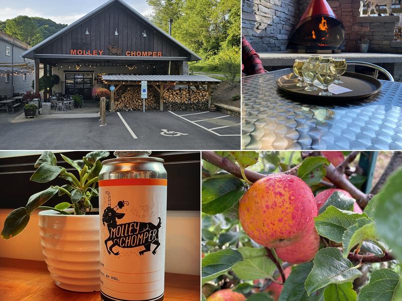 Molley Chomper Hard Cider 165 Piney Creek Rd, Lansing