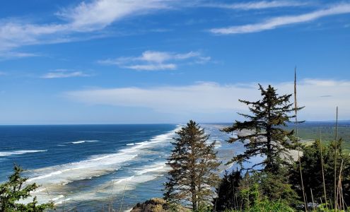 Free by the Sea Ocean Park