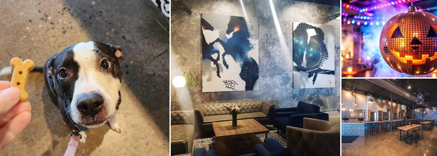 Urban Orchard Cider Co. - South Slope