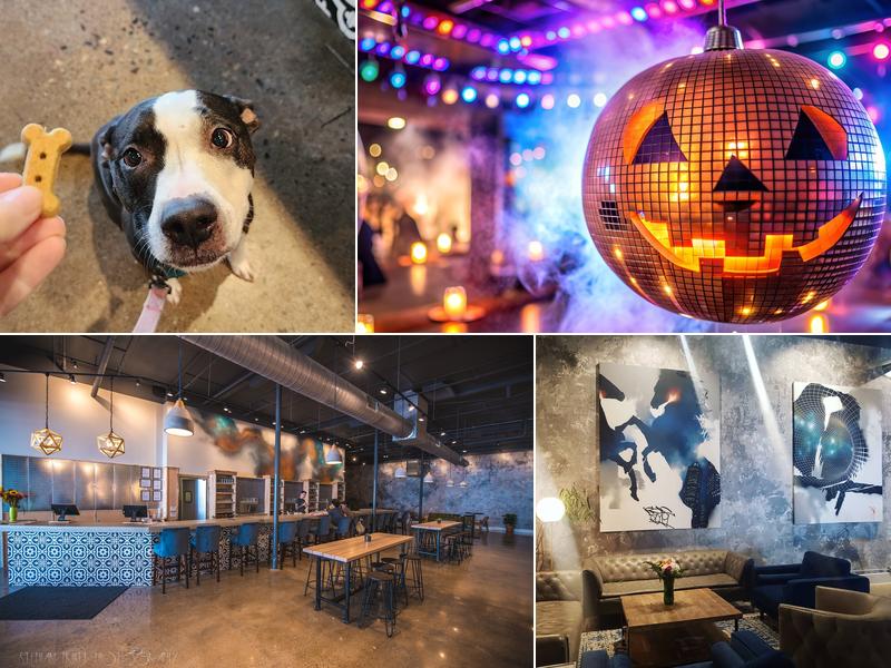 Urban Orchard Cider Co. - South Slope