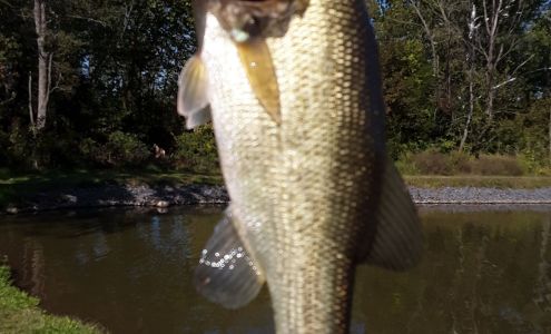 Adamstown Rod & Gun Club Reinholds