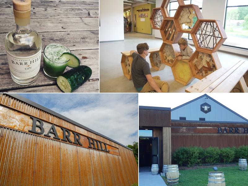 Barr Hill by Caledonia Spirits