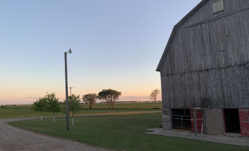 The Romzek Farm Ruth