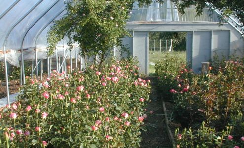 B Bar Ranch Airport 84OR Selma