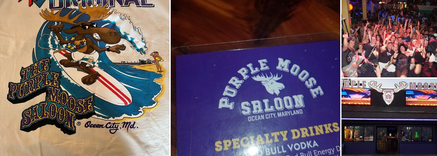Purple Moose Saloon