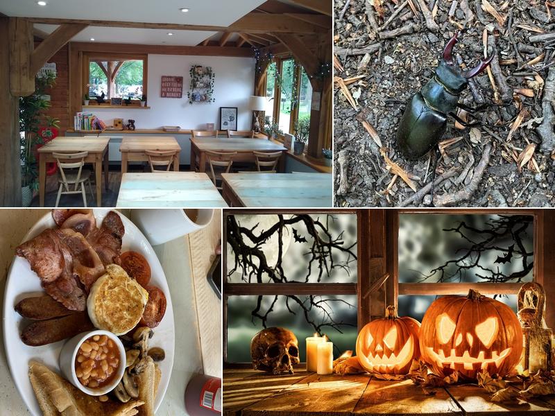 Langley Park Tearoom