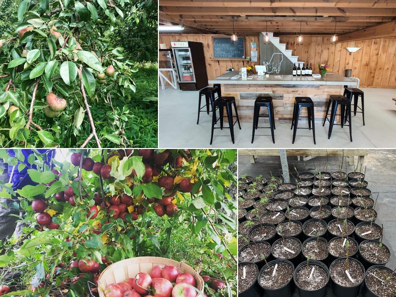 Grisamore Cider Works