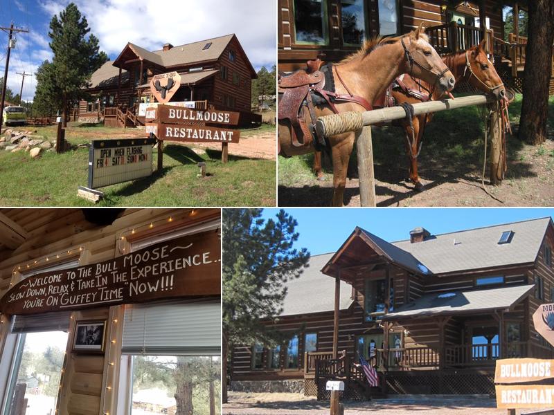 The Bull Moose Lodge