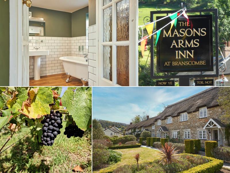 Masons Arms, Branscombe