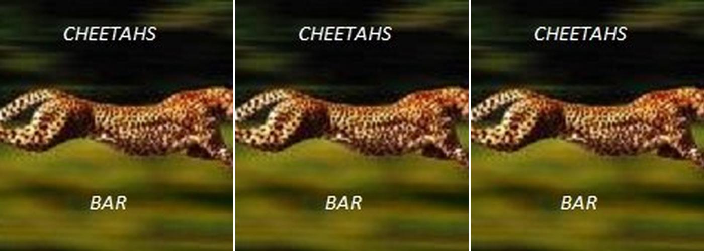 Cheetahs/Peanut Bar