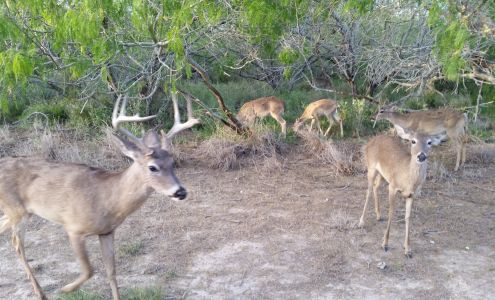 Mansfield Club Port Mansfield