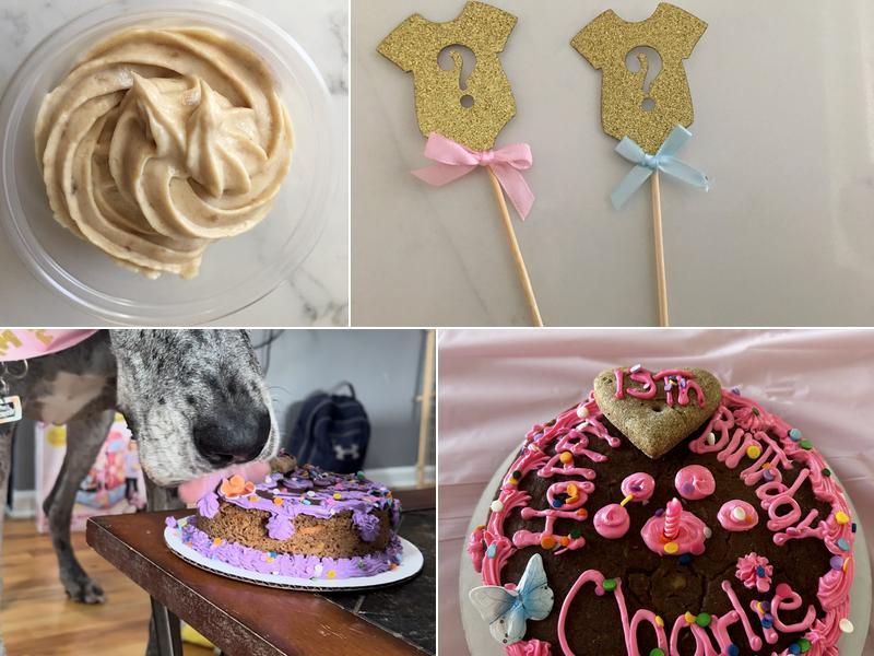 Biscotti Hound Dog Biscuit Bakery