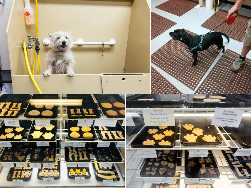 Our Dog Wash & Pet Bakery