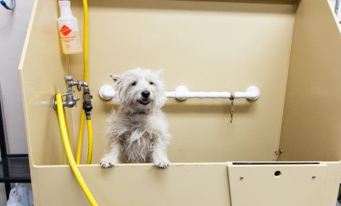 Our Dog Wash & Pet Bakery 1800 E Rte 66 #5145, Flagstaff Arizona 86004