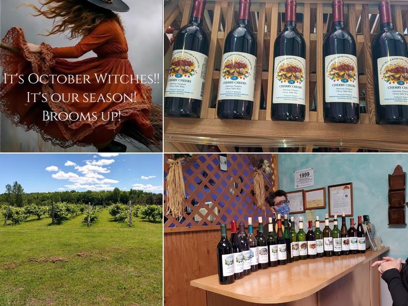 Nicholas's Wine Sampling