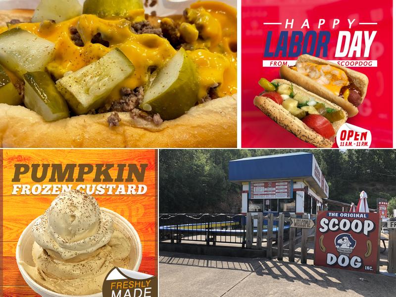 The Original ScoopDog