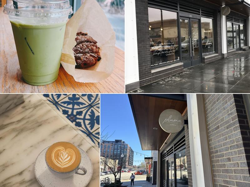 Pluma by Bluebird Bakery