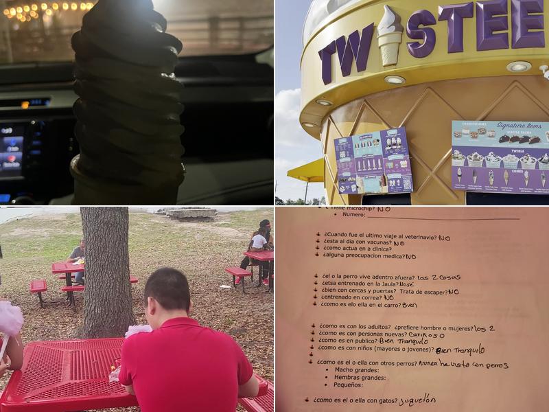 Twistee Treat Sheldon Menu