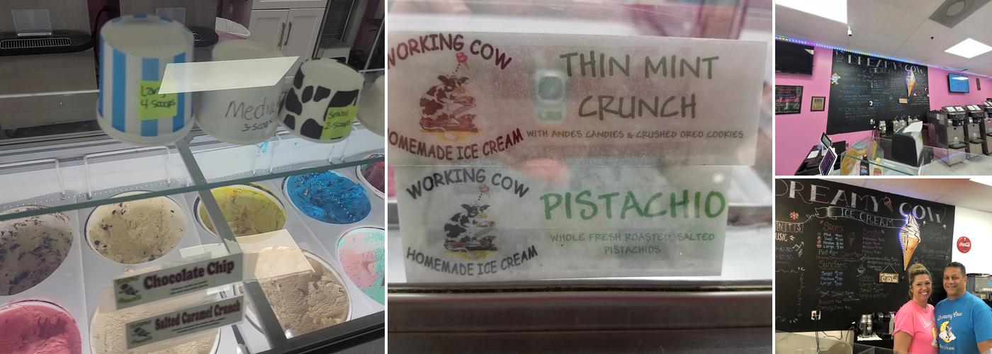 Brendy's Ice Cream & Yogurt (Dreamy Cow ) Menu