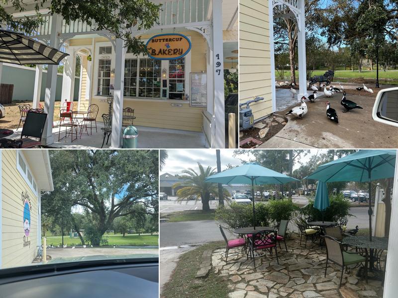 Buttercup Bakery 197 E Church St, DeLand