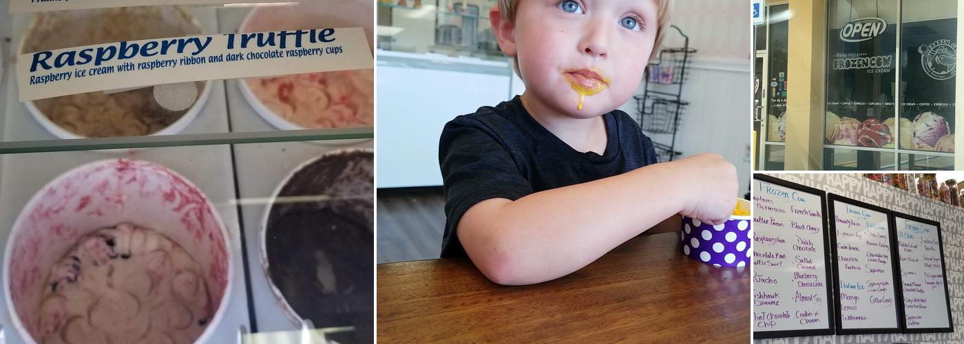 Frozen Cow Ice Cream Menu