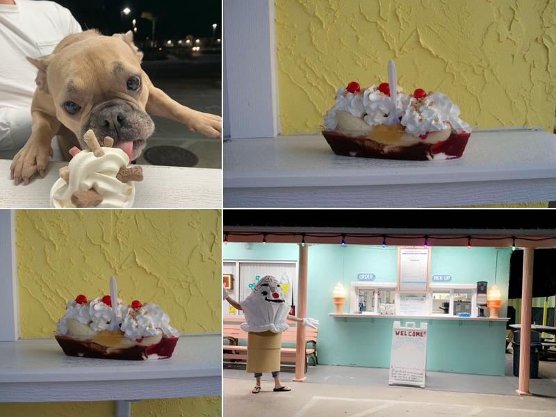 Space Coast Ice Cream 219 Harrison St, Titusville