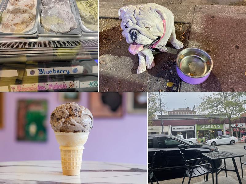 Sparky's Homemade Ice Cream