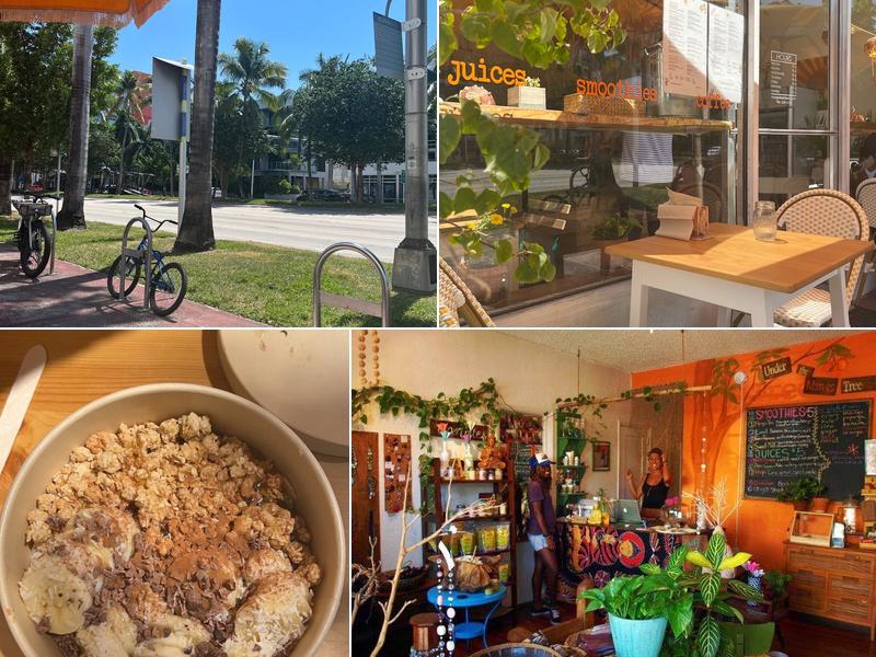 Under the Mango Tree